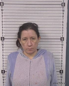 Christine Eve Collette Mugshot