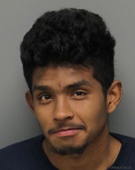 Christopher  Alvarado-noyola Mugshot