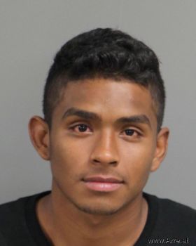 Christopher  Alvarado-noyola Mugshot