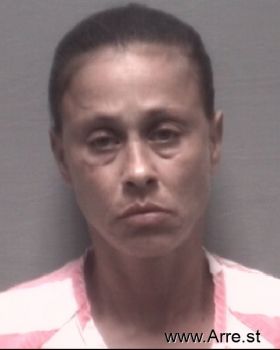 Christy Love Gonderman Mugshot