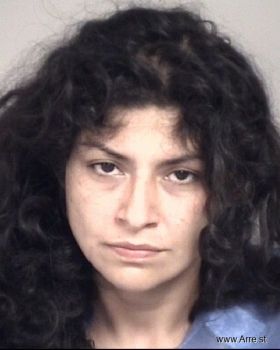 Cindy Lizette Molina Mugshot