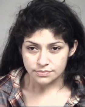 Cindy Lizette Molina Mugshot