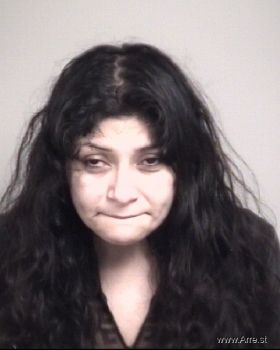 Cindy Lizette Molina Mugshot