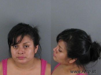 Claudia Ancelmo Abasolo Mugshot