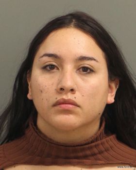 Constanza Sol Palacios-bustama Mugshot