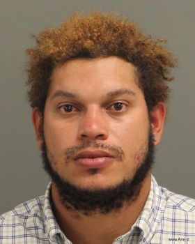 Cristian Jeobany Torres-santos Mugshot