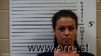 Cristin Elise Stinchcomb Mugshot