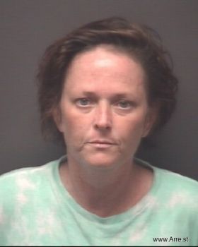 Crystal Leigh Anderson Mugshot