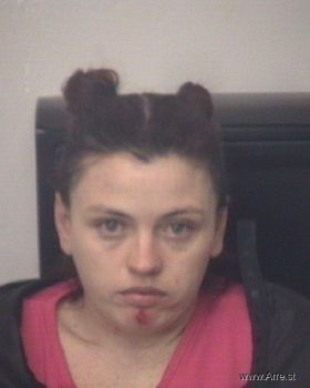 Crystal Michelle Durbin Mugshot