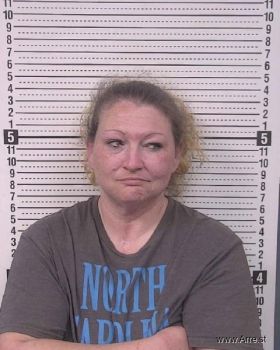 Crystal Dawn Olsen Mugshot