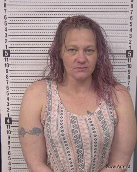 Crystal Lea Perkins Mugshot