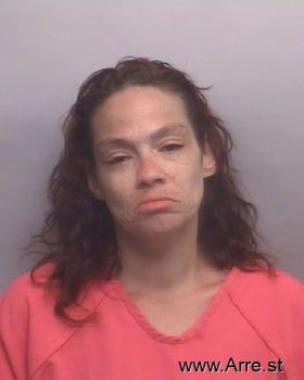 Crystal Ann Santos Mugshot