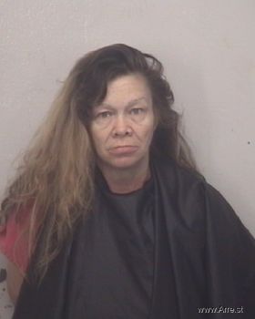 Cynthia Ann Gibson Mugshot