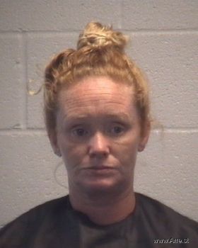 Cynthia Diane Stamey Mugshot