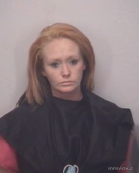 Cynthia Diane Stamey Mugshot