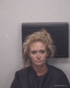 Cynthia Diane Stamey Mugshot