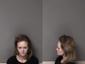 Cynthia Diana Stamey Mugshot