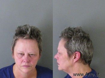 Dana Haney Ellison Mugshot