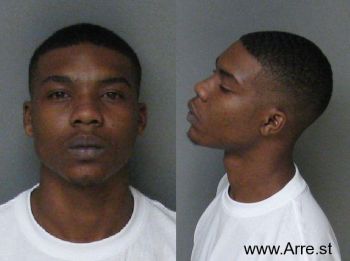 Danelle Montario Adams Mugshot