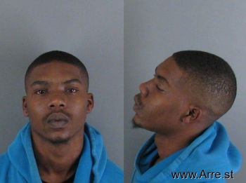 Danelle Montario Adams Mugshot