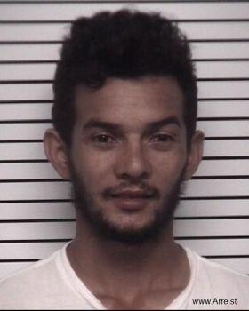 Dani Rafael Galo-flores Mugshot