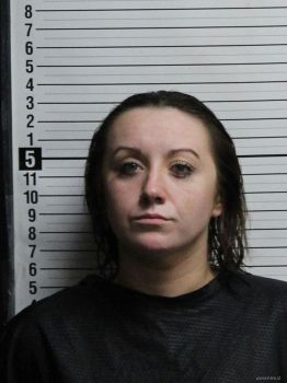 Danielle Leigh Bowersox Mugshot