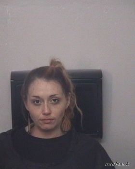 Danielle Nicole Brittner Mugshot