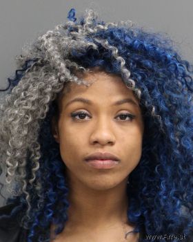 Danielle Nicole Watkins Mugshot