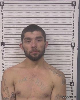 David Lynn Henson Mugshot