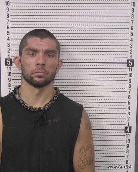 David Lynn Henson Mugshot