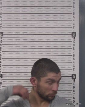 David Lynn Henson Mugshot