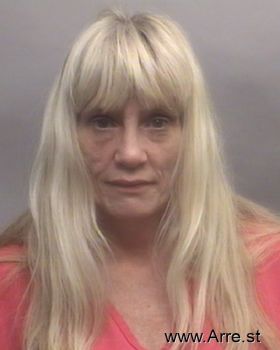 Debra Ann Williams Mugshot