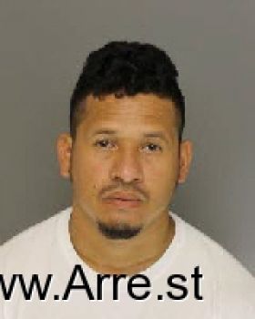 Denis Orlando Torres Mugshot