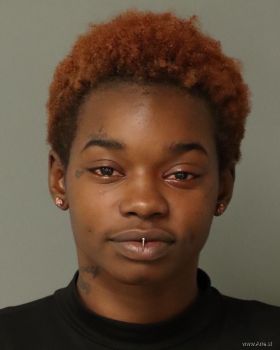 Destiny Lanautica Si Brown Mugshot