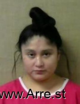 Diana  Lopez Mugshot