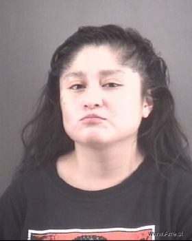 Diana Licet Lopez Martin Mugshot