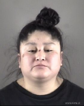 Diana Licet Lopezmartin Mugshot