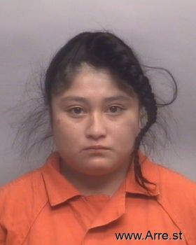 Diana Licet Lopezmartin Mugshot