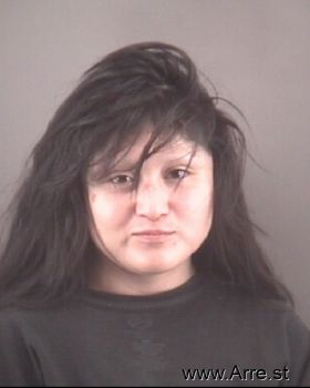 Diana Licet Lopezmartin Mugshot