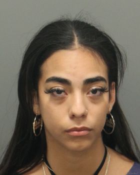 Diana Margarita Martinez Mugshot