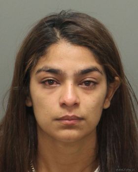 Diana Laura Pineda-pineda Mugshot