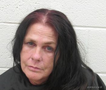 Donna Renee Conner Mugshot