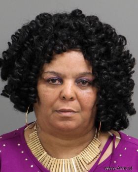 Donna Johnson Lane Mugshot