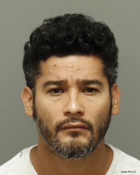 Edgar  Hernandez-vivas Mugshot