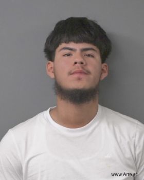 Edgar Salinas Lucena Mugshot