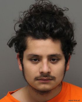 Edgar Maximino Alvarez-nunez Mugshot