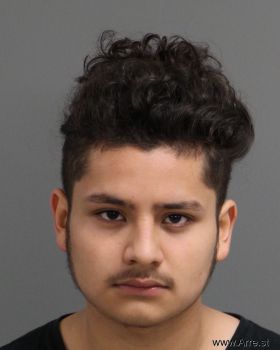 Edgar Maximino Alvarez-nunez Mugshot