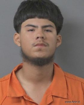 Edgar Jr Salinas-lucena Mugshot