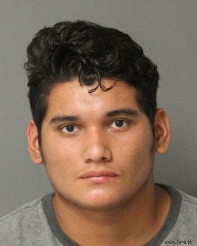 Eduardo  Gallegos-olguin Mugshot