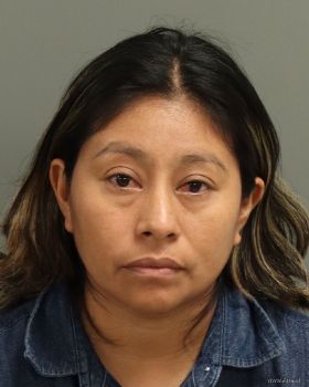 Efre Idalia Perez-mejia Mugshot